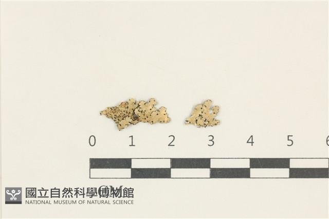登錄號:L00005158藏品圖，第1張