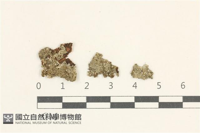 登錄號:L00000289藏品圖，第1張