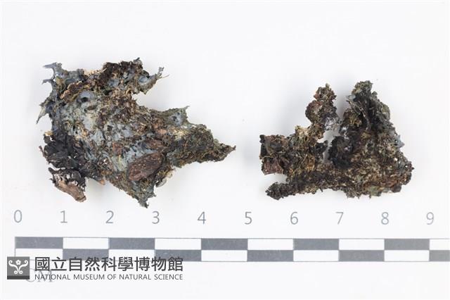 登錄號:L00002269藏品圖，第1張