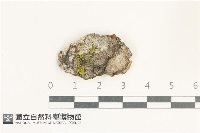 登錄號:L00005169藏品圖，第1張