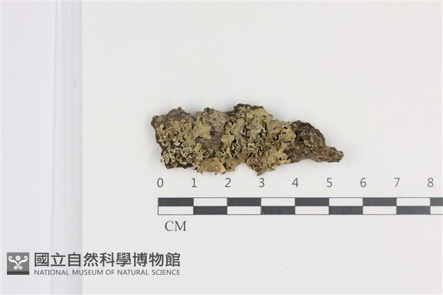 登錄號:L00005219藏品圖，第1張