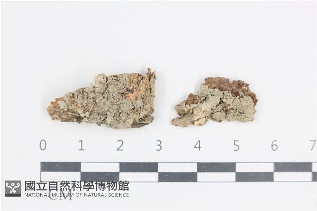 登錄號:L00004529藏品圖，第1張