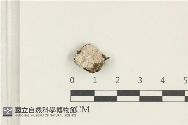 登錄號:L00005179藏品圖，第1張