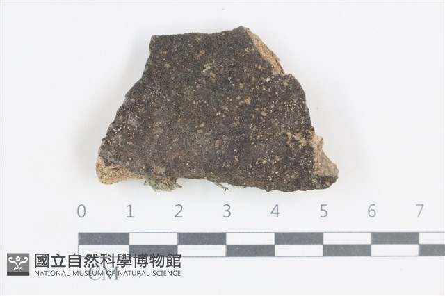 登錄號:L00005039藏品圖，第1張