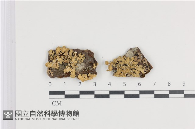 登錄號:L00005226藏品圖，第1張