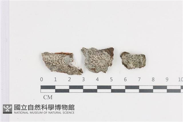 登錄號:L00002684藏品圖，第1張