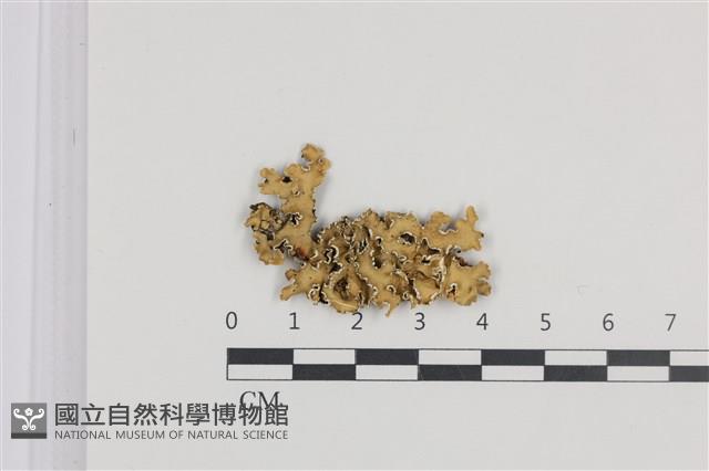 登錄號:L00005214藏品圖，第1張
