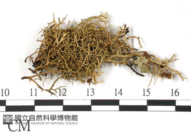 登錄號:L00001114藏品圖，第1張