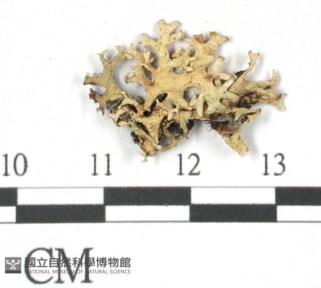 登錄號:L00002414藏品圖，第1張