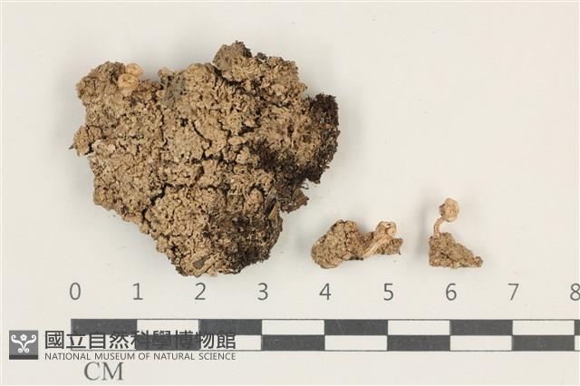 登錄號:L00000644藏品圖，第1張