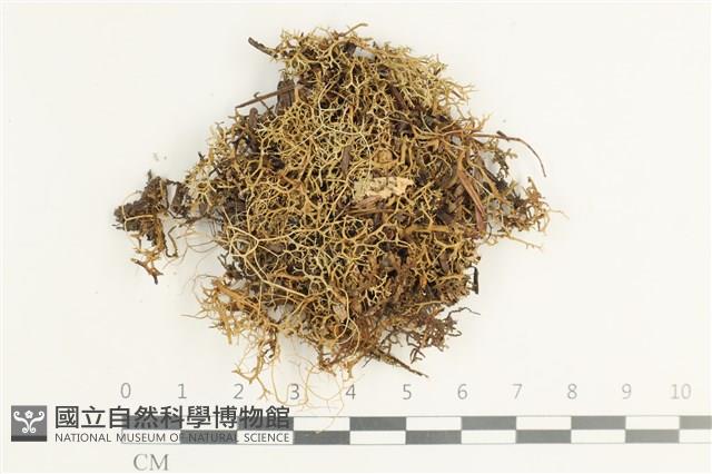 登錄號:L00002544藏品圖，第1張