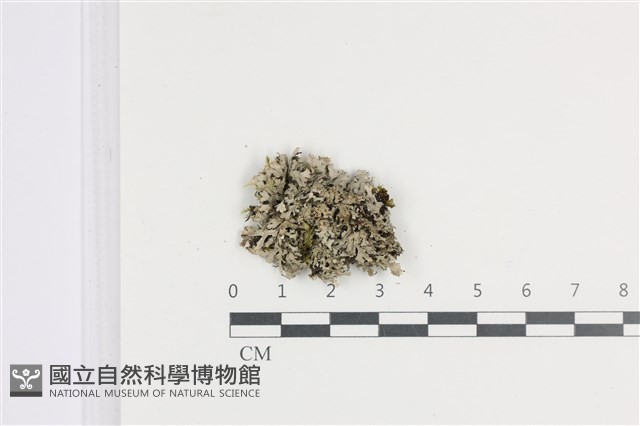 登錄號:L00002324藏品圖，第1張