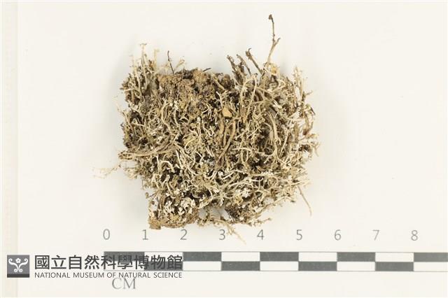 登錄號:L00000407藏品圖，第1張