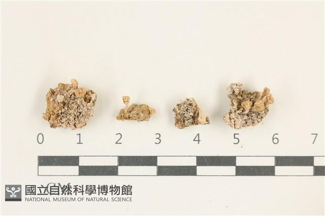 登錄號:L00001407藏品圖，第1張