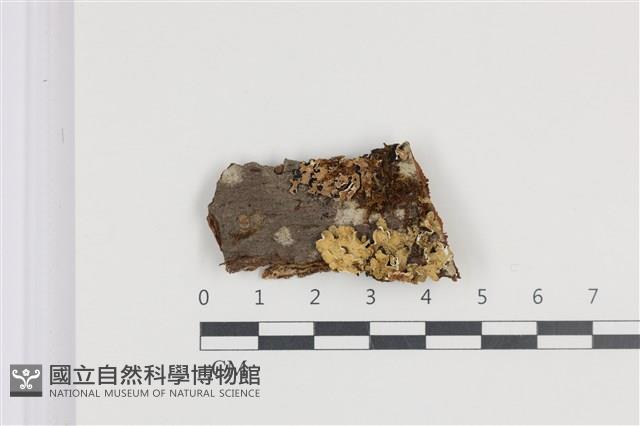 登錄號:L00005217藏品圖，第1張