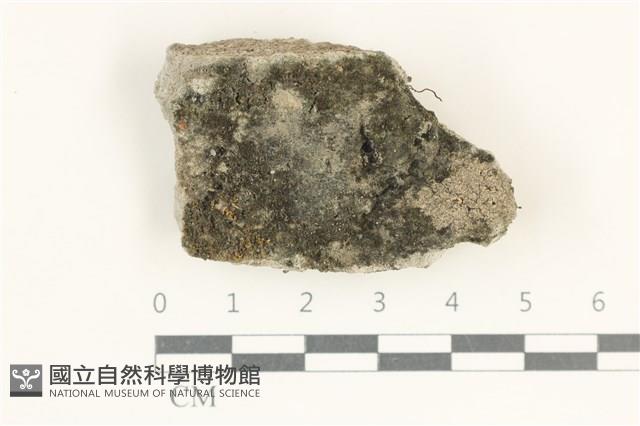 登錄號:L00005117藏品圖，第1張