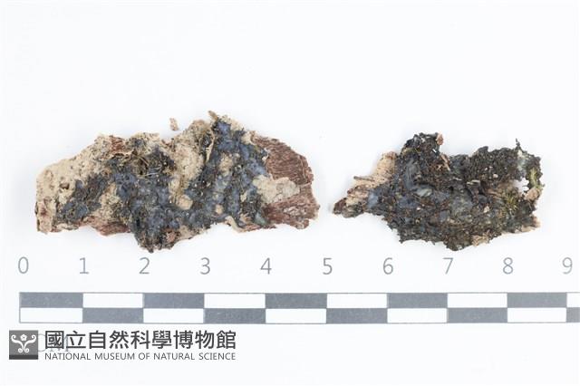 登錄號:L00001027藏品圖，第1張