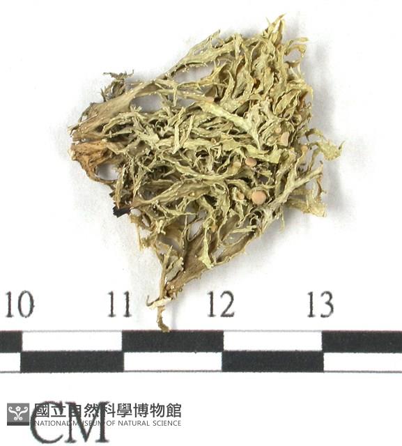 登錄號:L00001077藏品圖，第1張