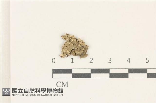 登錄號:L00005157藏品圖，第1張