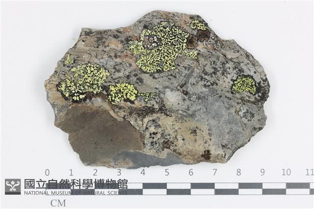 登錄號:L00002197藏品圖，第1張