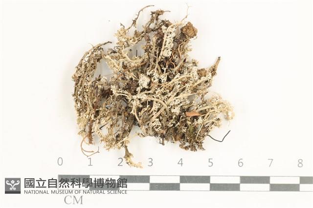 登錄號:L00001497藏品圖，第1張