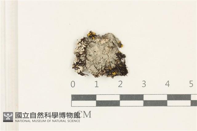 登錄號:L00005205藏品圖，第1張