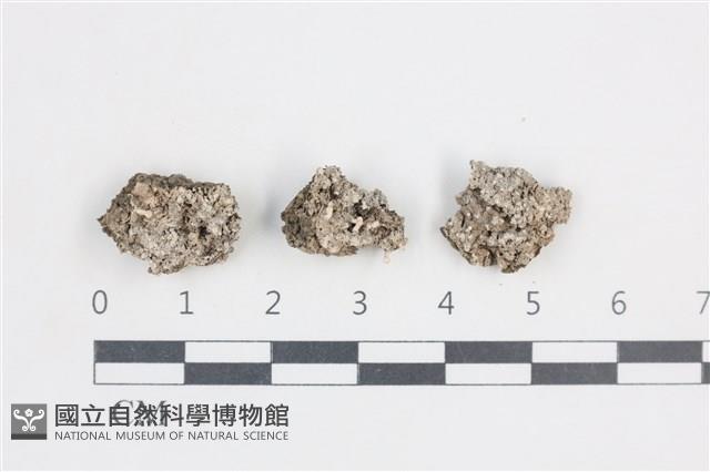 登錄號:L00005115藏品圖，第1張