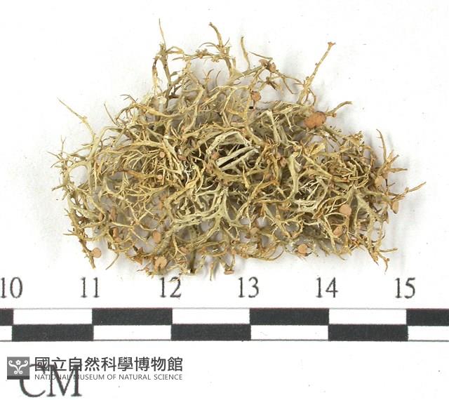 登錄號:L00002655藏品圖，第1張