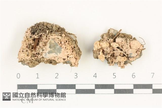 登錄號:L00000651藏品圖，第1張