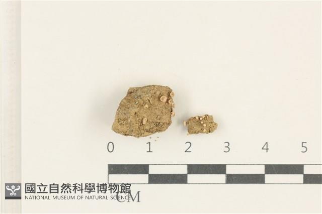 登錄號:L00002731藏品圖，第1張