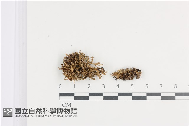 登錄號:L00002660藏品圖，第1張