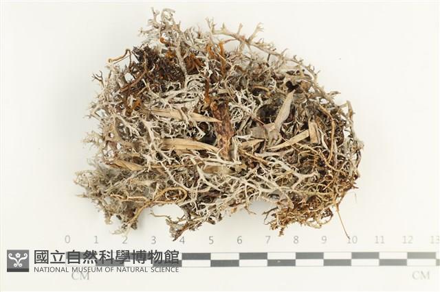 Accession Number:L00002510 Collection Image, Figure 1, Total 2 Figures