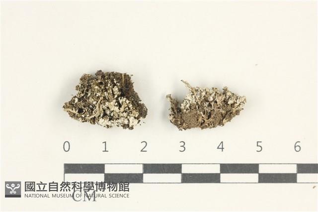 登錄號:L00000410藏品圖，第1張