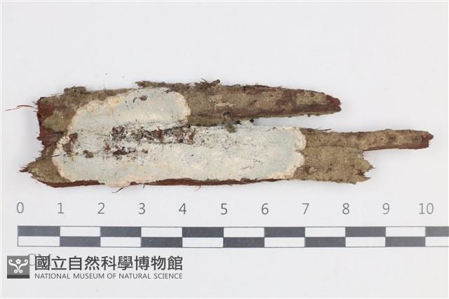 登錄號:L00002630藏品圖，第1張