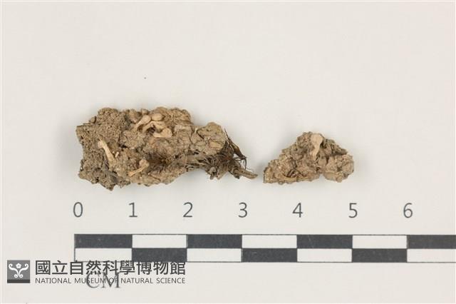 登錄號:L00000643藏品圖，第1張