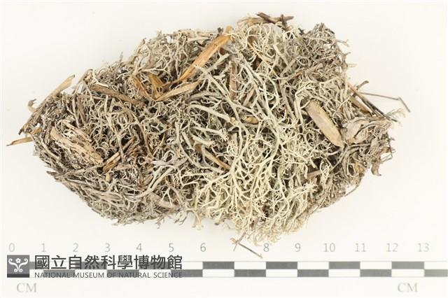 登錄號:L00001353藏品圖，第1張