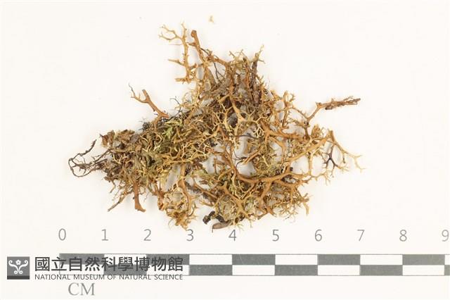 登錄號:L00000639藏品圖，第1張