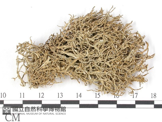 登錄號:L00002627藏品圖，第1張
