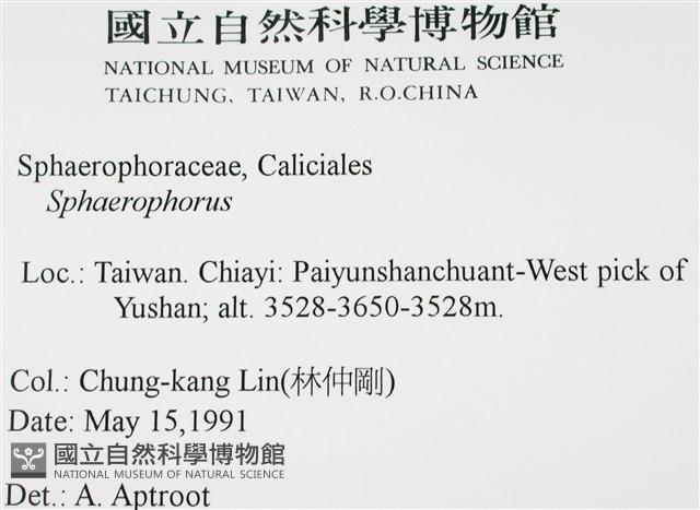 登錄號:L00000482藏品圖，第2張