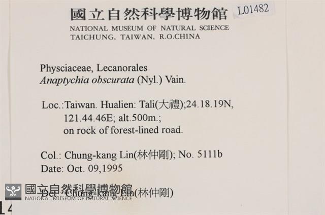 登錄號:L00001482藏品圖，第2張