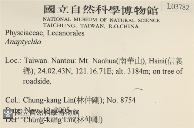 登錄號:L00003782藏品圖，第2張