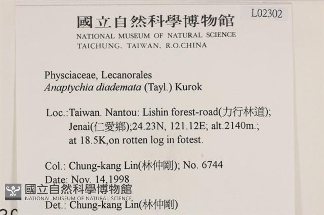 登錄號:L00002302藏品圖，第2張