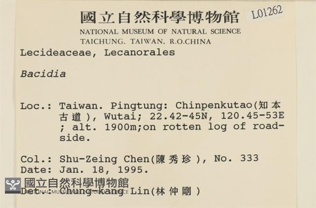登錄號:L00001262藏品圖，第2張