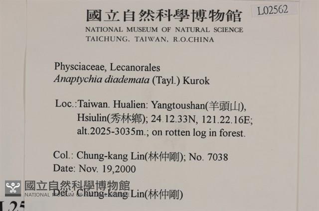 登錄號:L00002562藏品圖，第2張