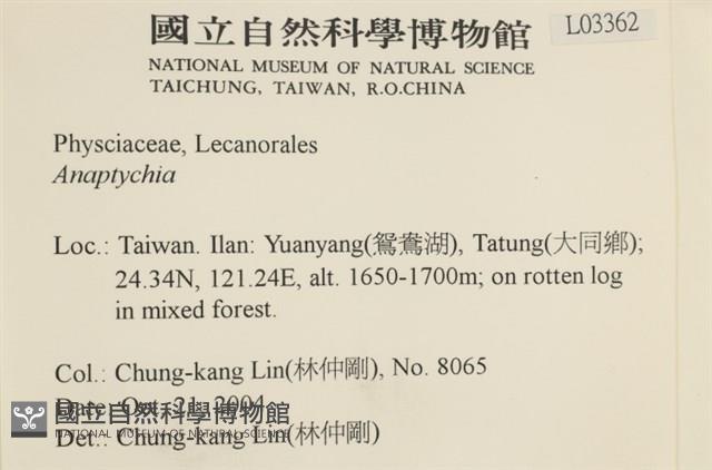 登錄號:L00003362藏品圖，第2張