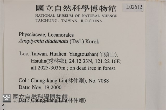 登錄號:L00002612藏品圖，第2張