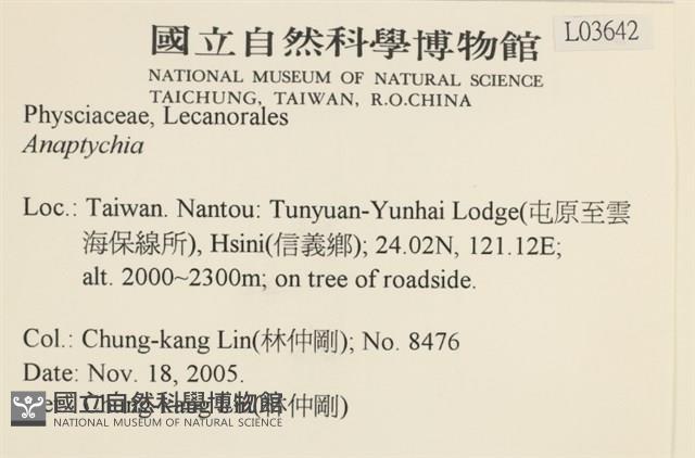 登錄號:L00003642藏品圖，第2張
