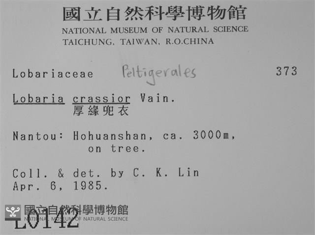 厚兜衣藏品圖，第2張