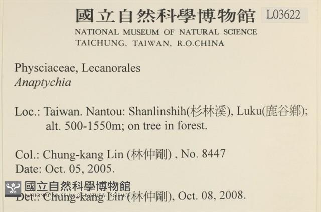 登錄號:L00003622藏品圖，第2張