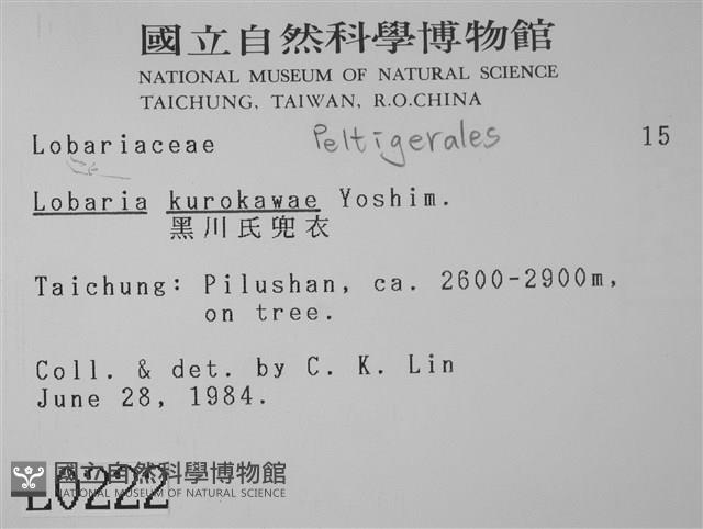 黑川氏兜衣藏品圖，第2張